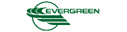 Evergreen International Airlines (1980s Colors - ver 2)
