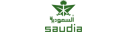 Saudi Arabian Airlines (1980s - Saudia Colors - ver 3)

