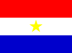 Paraguayan Air Force
fin flag
Keywords: FAP fin flag