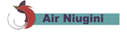 Air Niugini (1990s Colors)
