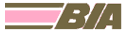 British Island Airways (ver 2)
