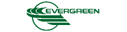 Evergreen International Airlines (1980s Colors - ver 2)
