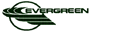 Evergreen International Airlines (1980s Colors - ver 1)
