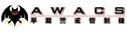 jasdf-awacs.gif