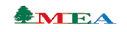 MEA Middle East Airlines (1990s Colors - ver 4)
