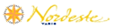 Nordeste Linhas Aéreas Regionais (1990s Colors - ver 2)
