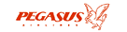 Pegasus Airlines (ver 1)
