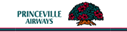 Princeville Airways
