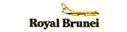 Royal Brunei Airlines (1970s Colors - ver 1)
