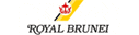 Royal Brunei Airlines (1990s Colors - ver 2)
