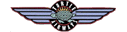 Turtle Airways
