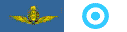 Argentine Air Force
Fuerza Aérea Argentina
