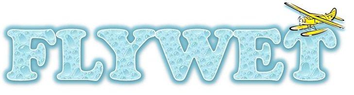 FlyWet
