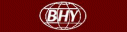 Bosphorus European Airways (ver 3)
