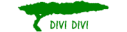 Divi Divi Air
